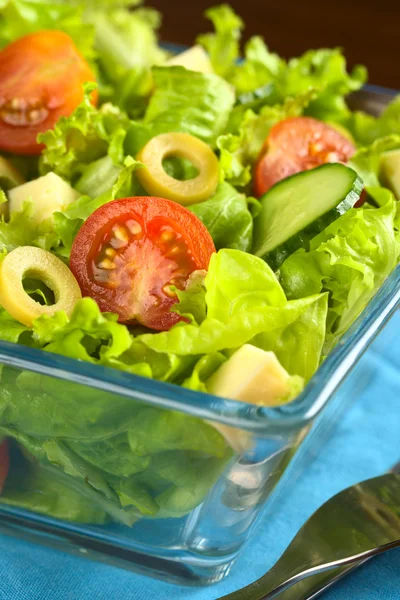 Fresh Vegetable Salad — Stock Photo, Image