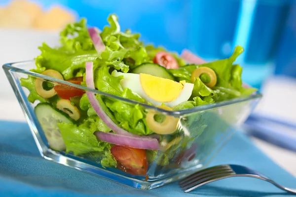 Fresh Salad with Egg — Stock Photo, Image