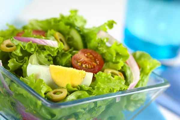 Fresh Salad with Egg — Stock Photo, Image