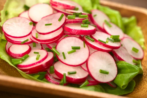 Салат из редьки с луком — стоковое фото