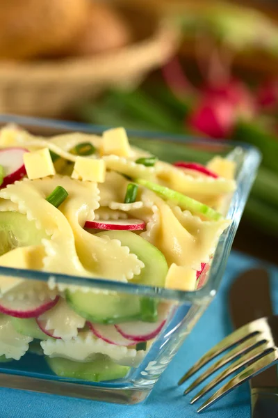 Bow Tie Pasta Salad with Cucumber and Radish — Stock Photo, Image