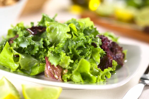 Frischer Salat mit Joghurt-Dressing — Stockfoto