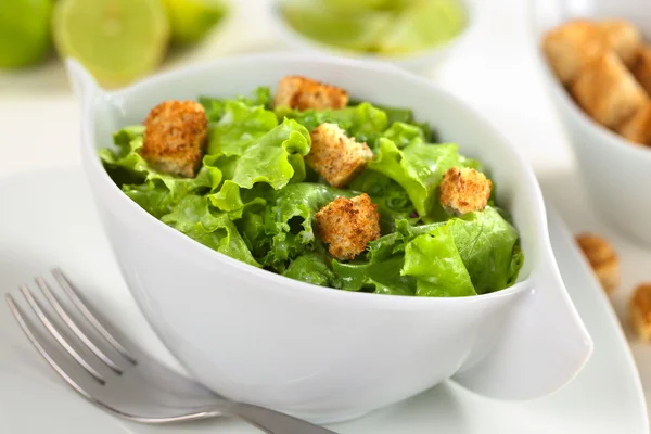 Groene salade met croutons — Stockfoto