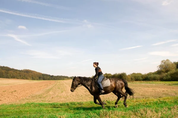 Equestrienne gallops on hillside. — Stock Photo, Image