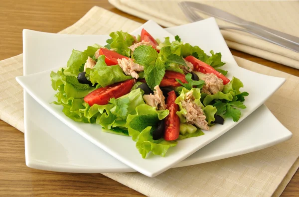Salada com atum, legumes e hortelã — Fotografia de Stock