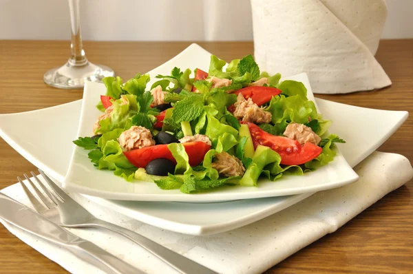 Salada com atum, legumes e hortelã — Fotografia de Stock