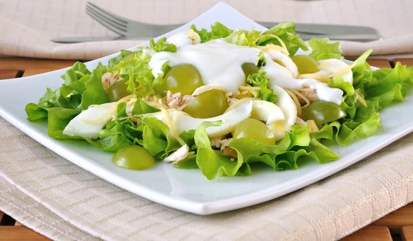 Yoğurtlu hafif salata — Stok fotoğraf
