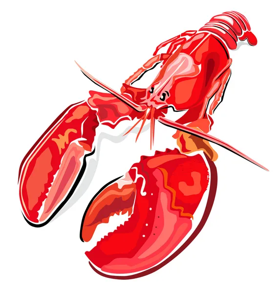 Lobster — Stock Vector