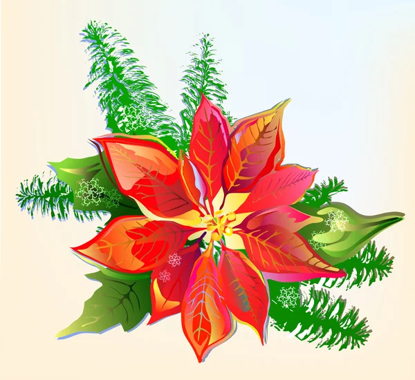 Poinsettia de Navidad — Archivo Imágenes Vectoriales