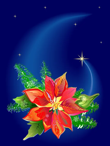 Poinsettia de Noël — Image vectorielle