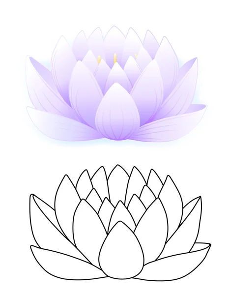 Blue lotus — стоковий вектор