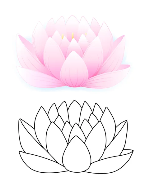 stock vector Pink lotus