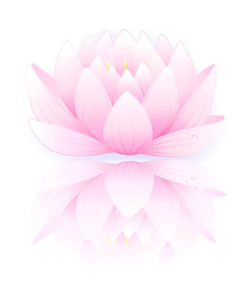 Pink lotus — Stock Vector
