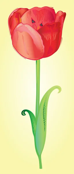 Tulipano primaverile — Vettoriale Stock