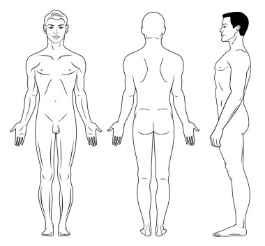 Naked standing man clipart