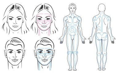 Facial and body massaging lines for man and woman. clipart