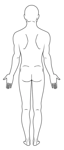 Desnudo de pie hombre — Archivo Imágenes Vectoriales