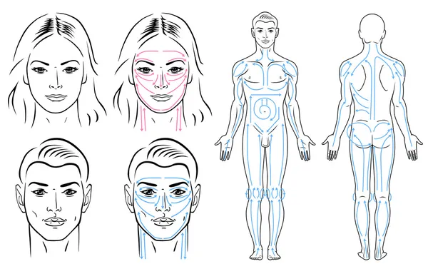 Lignes de massage du visage et du corps pour homme et femme . — Image vectorielle