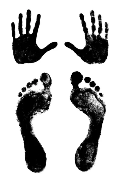Footprints and handprints — Stock Vector