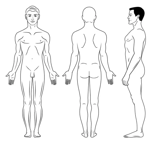 Άνθρωπος στέκεται γυμνό — Διανυσματικό Αρχείο