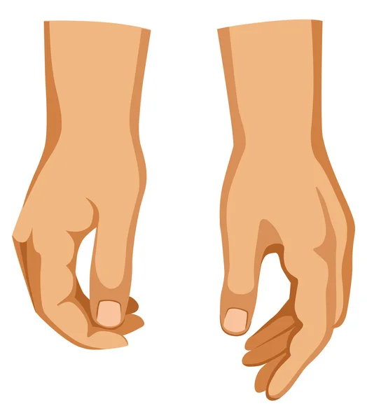 Deux mains — Image vectorielle