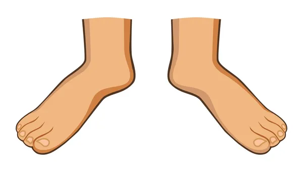 Две ноги — стоковый вектор