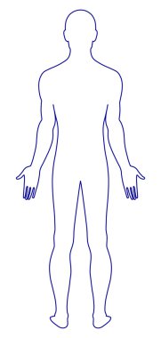 Naked standing man clipart