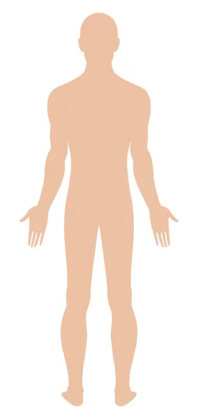 Desnudo de pie hombre — Vector de stock
