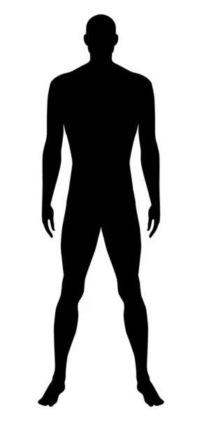 Pria telanjang berdiri - Stok Vektor