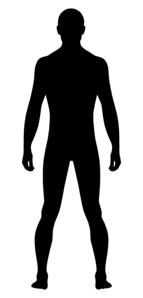 Голый стоячий человек — стоковый вектор