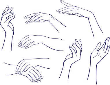 Woman's hands