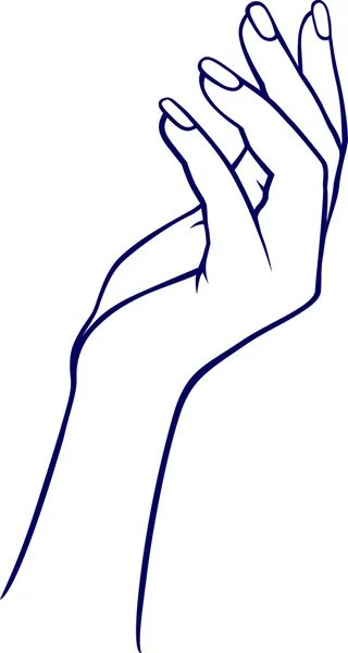 Женская рука — стоковый вектор