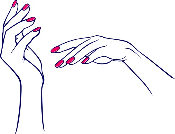 Kvinnans händer — Stock vektor