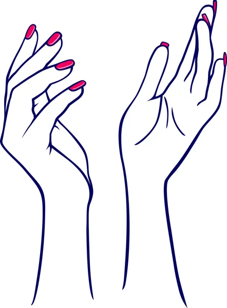 Женские руки — стоковый вектор