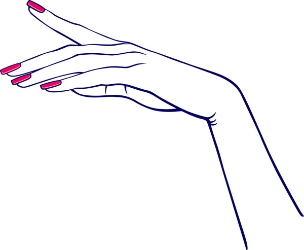 Woman's hand — Stock Vector