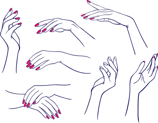 Vrouw handen — Stockvector