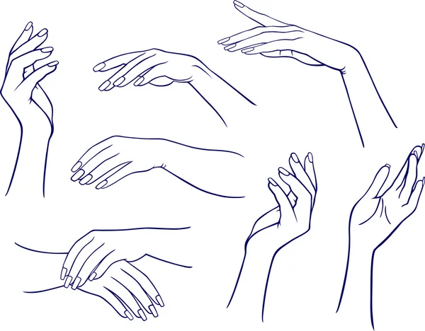 Ženské ruce — Stockový vektor