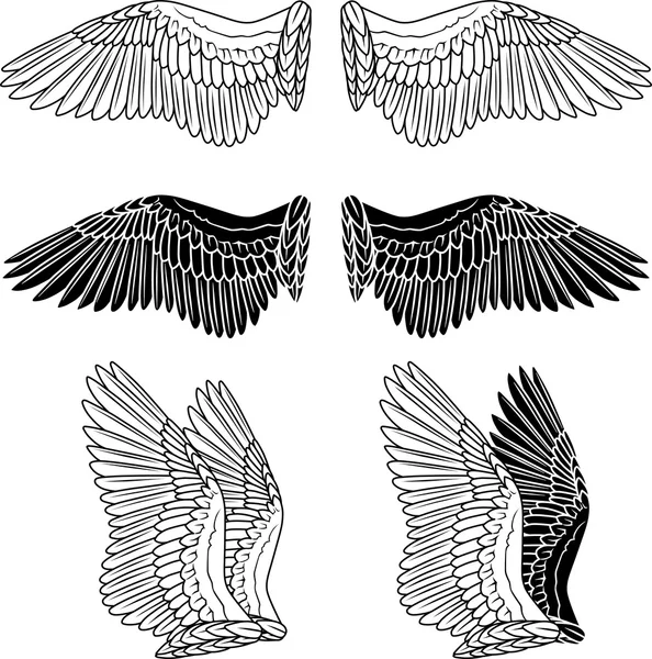Taubenflügel — Stockvektor