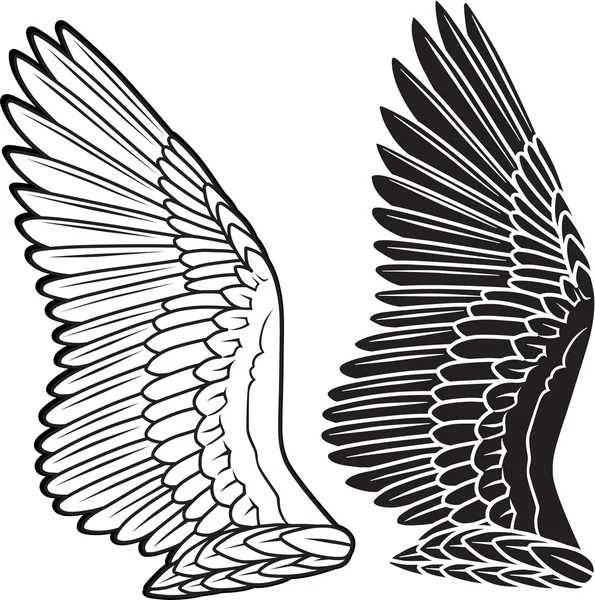鳩の翼 — ストックベクタ