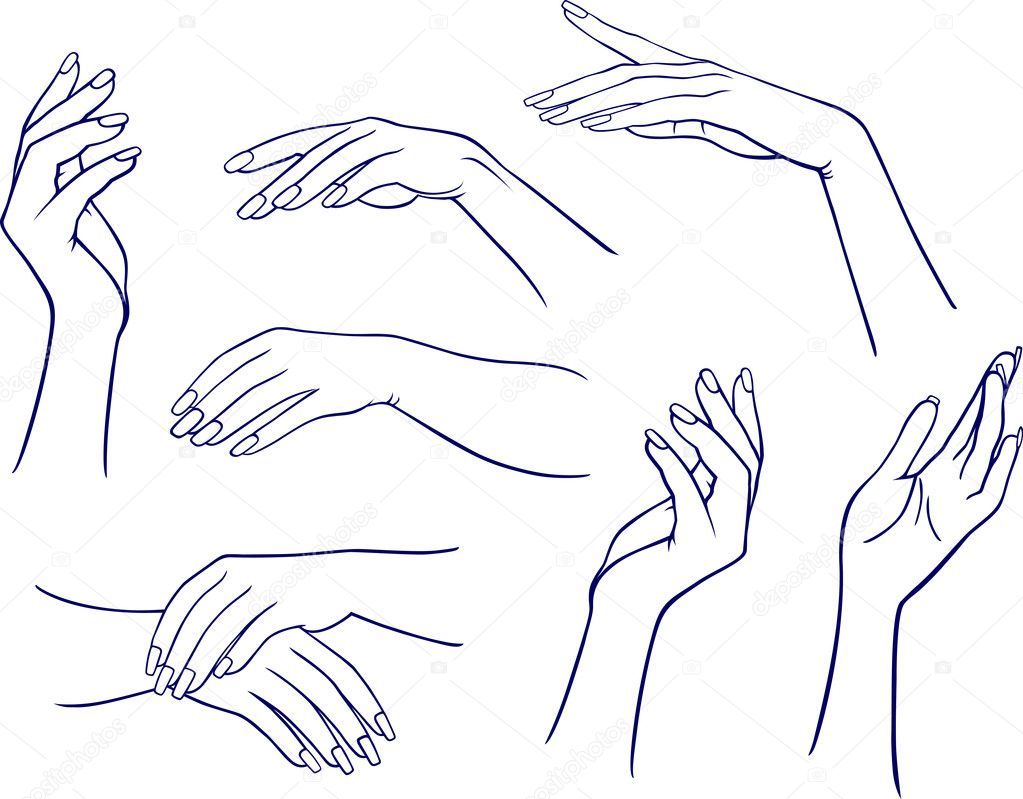 Mãos de mulher — Vetor de Stock © arlatis #6948849