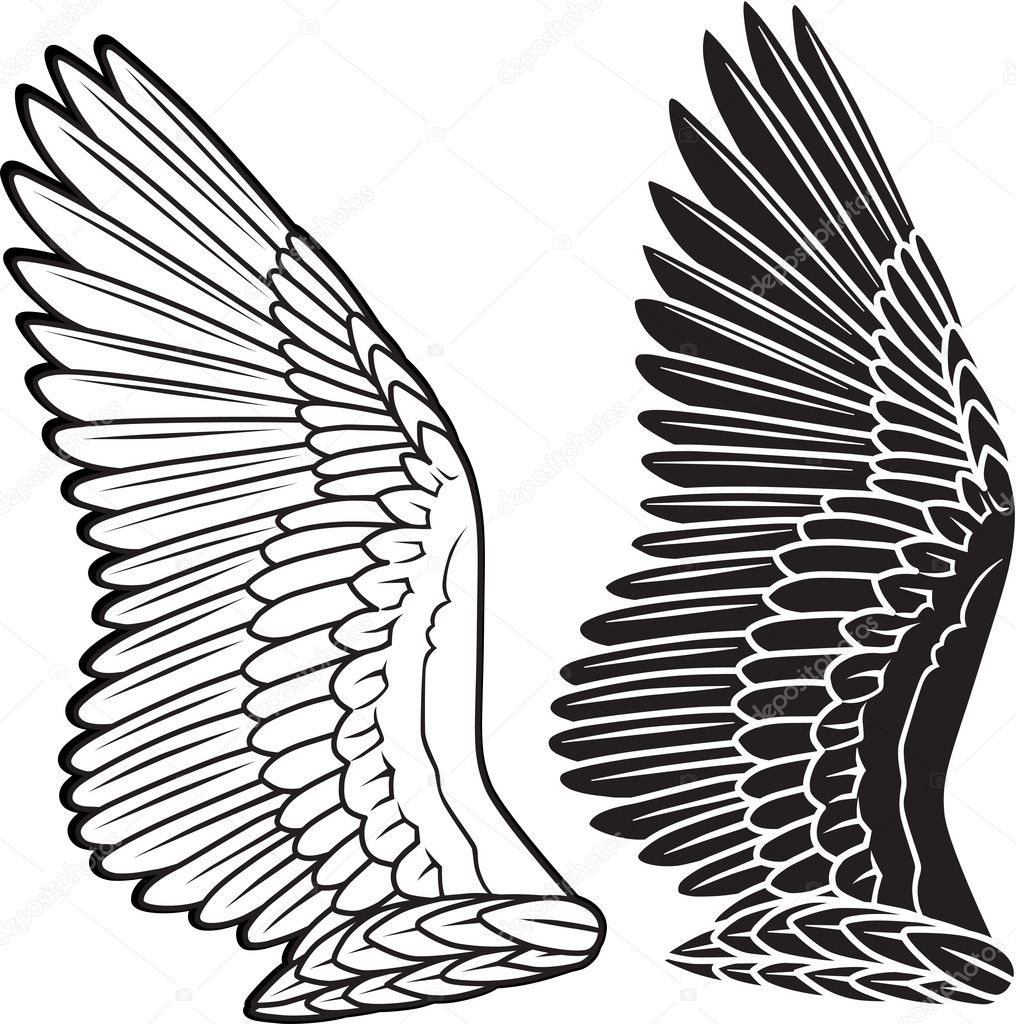 Dove wings