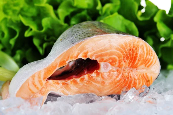 Красная рыба на льду — стоковое фото