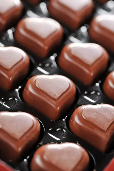 Choklad i rutan — Stockfoto