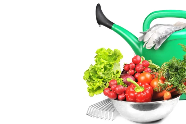 Watering can and vegetables. Royalty Free Stock Images