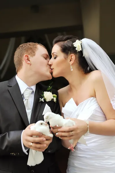 Recém-casados com pombas — Fotografia de Stock