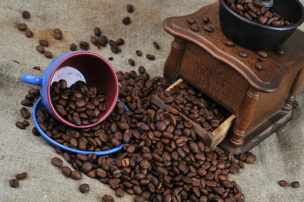 Młynek do kawy i filiżanki — Zdjęcie stockowe