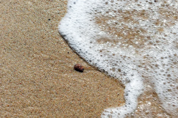 Orilla del mar — Foto de Stock
