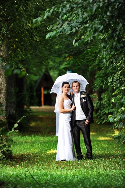 Bruid en bruidegom met paraplu — Stockfoto