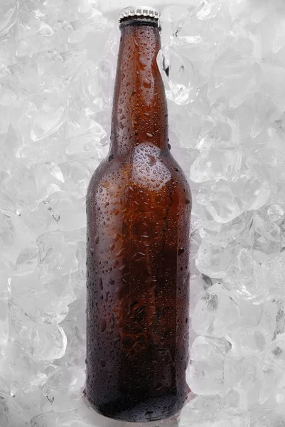 Μπουκάλι μπύρας — Φωτογραφία Αρχείου