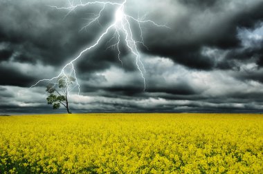 Thunderstorm under alone tree clipart
